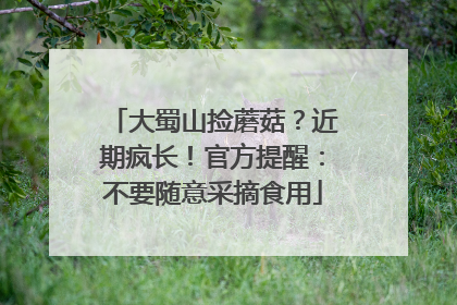 大蜀山捡蘑菇？近期疯长！官方提醒：不要随意采摘食用
